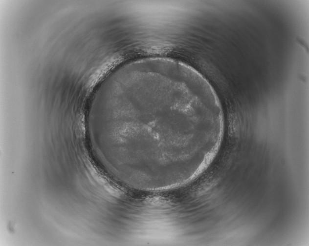 X0000103900634200810031150