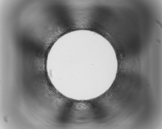 X0000103900635200810031150