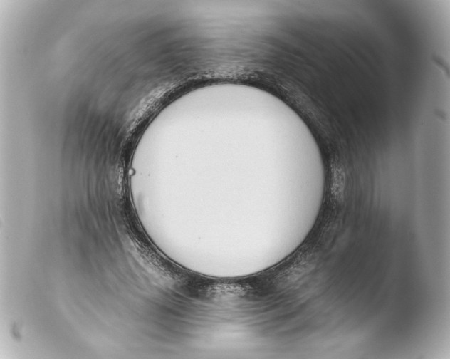 X0000103900636200810031150