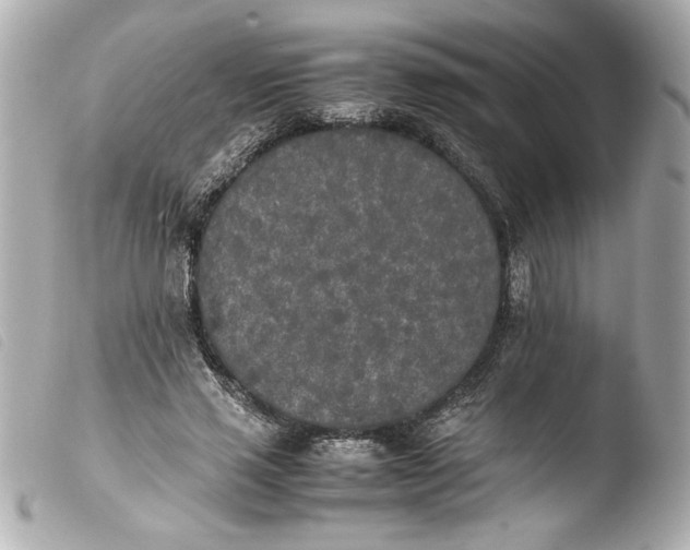 X0000103900637200810031150