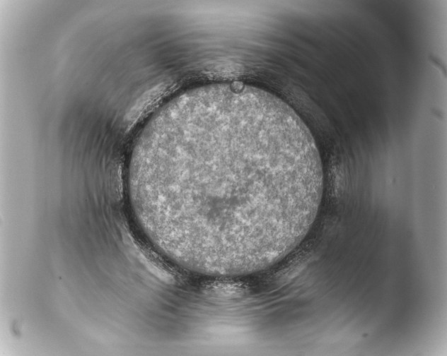 X0000103900638200810031150