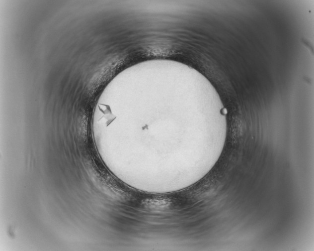 X0000103900639200810031150