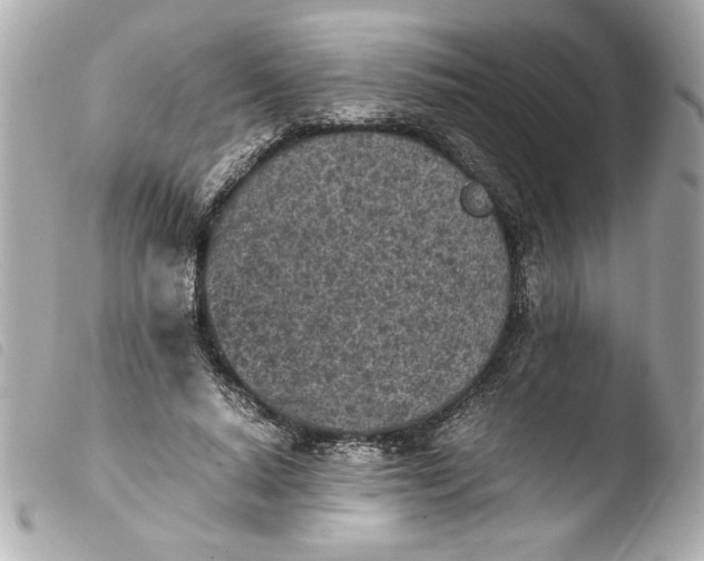 X0000103900640200810031150