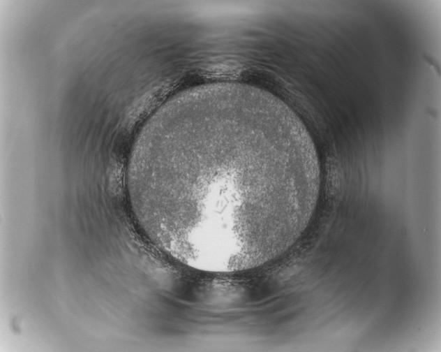 X0000103900641200810031150