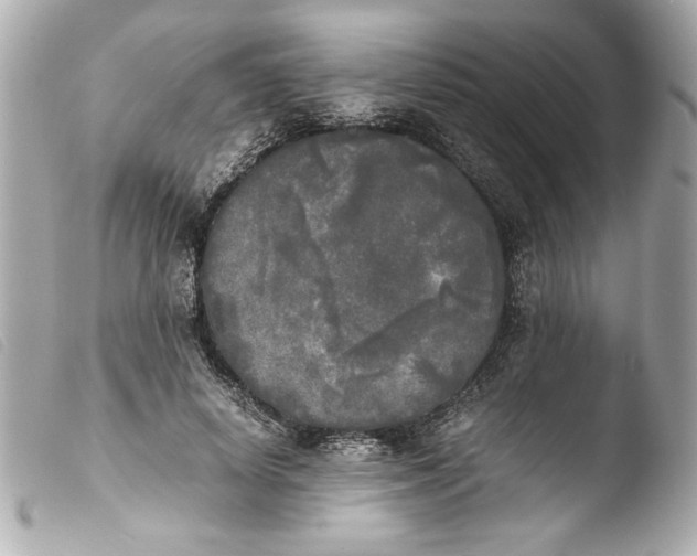 X0000103900642200810031150