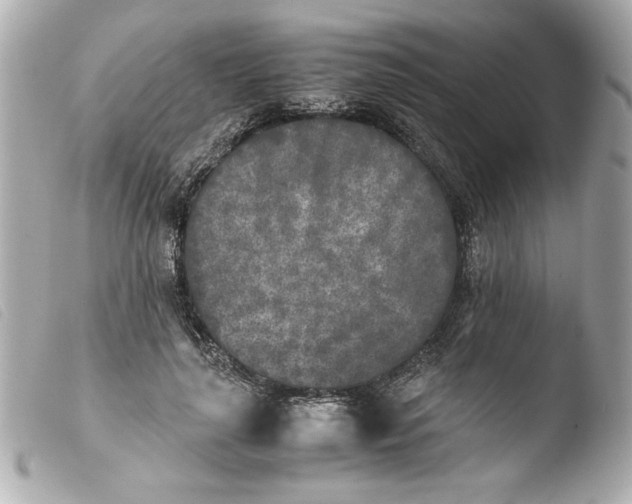 X0000103900643200810031150