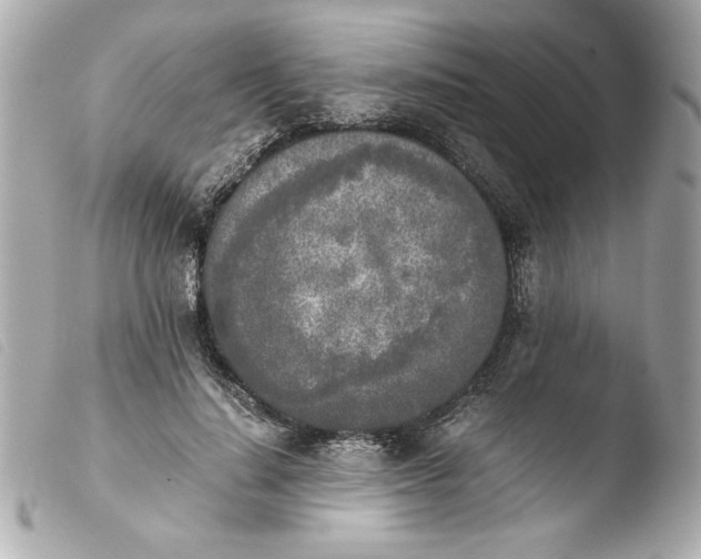 X0000103900644200810031150