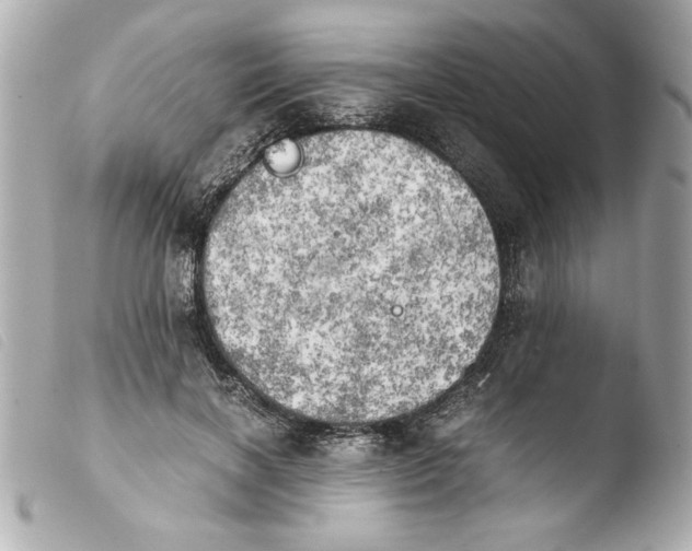 X0000103900646200810031150