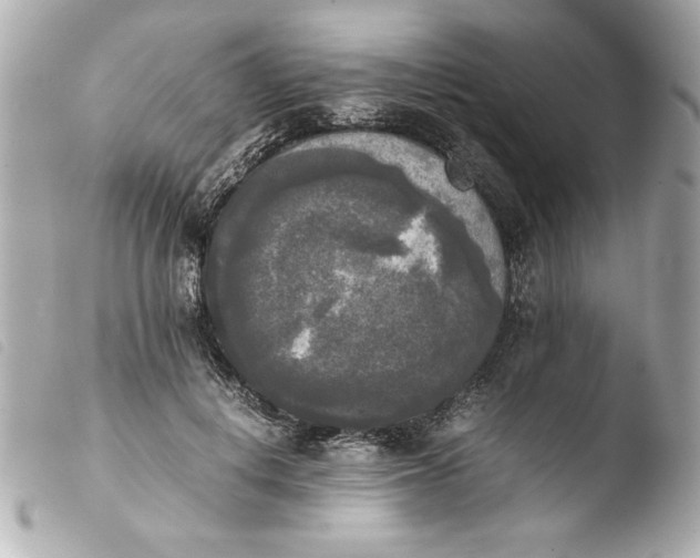 X0000103900648200810031150