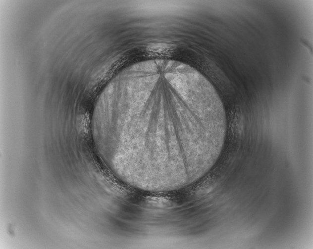 X0000103900649200810031150