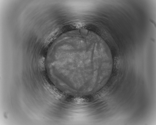 X0000103900650200810031150