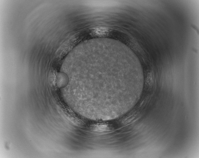 X0000103900651200810031150