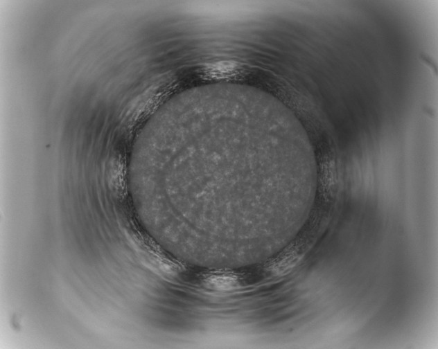 X0000103900653200810031150