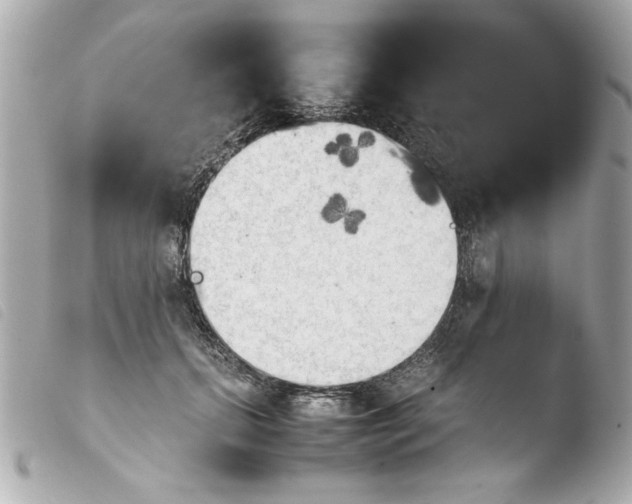 X0000103900655200810031150