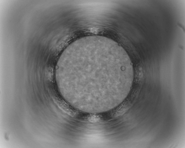 X0000103900656200810031150