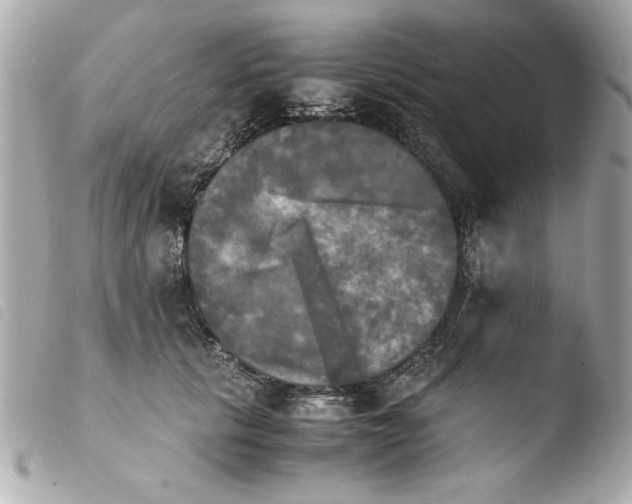 X0000103900657200810031150