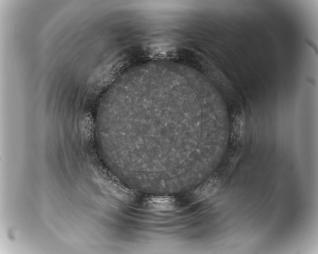 X0000103900659200810031150