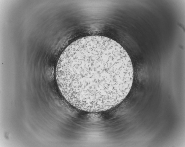 X0000103900660200810031150