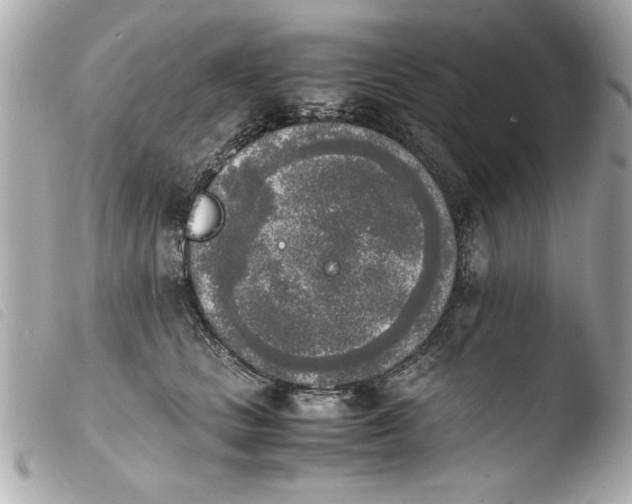 X0000103900661200810031150