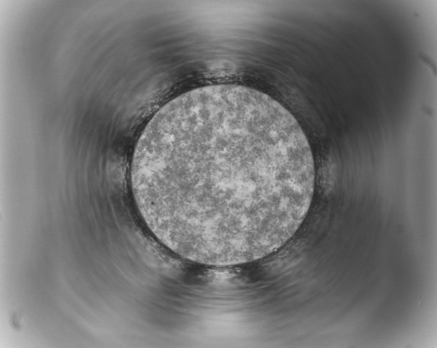 X0000103900662200810031150