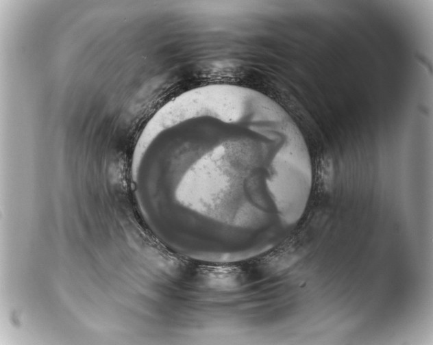 X0000103900663200810031150