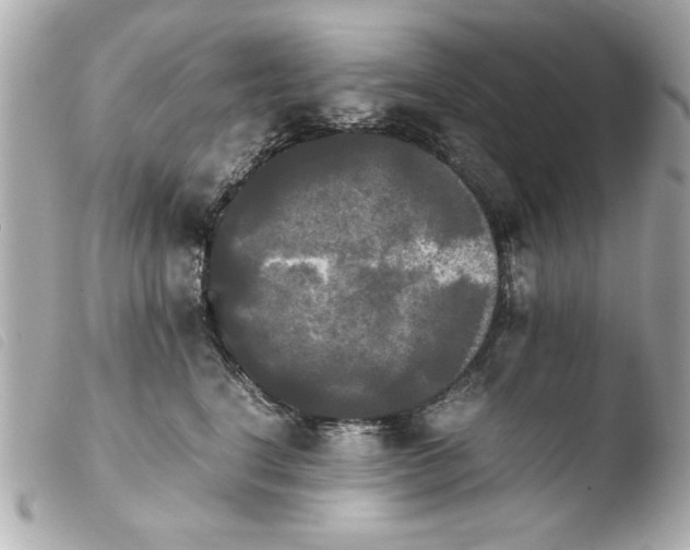 X0000103900664200810031150