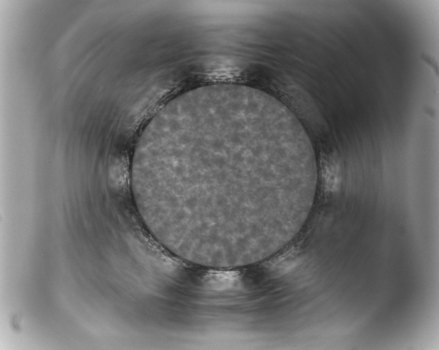 X0000103900665200810031150