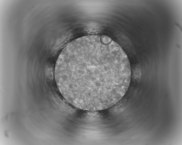 X0000103900666200810031150