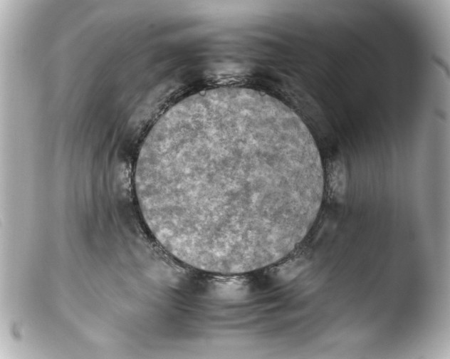 X0000103900667200810031150