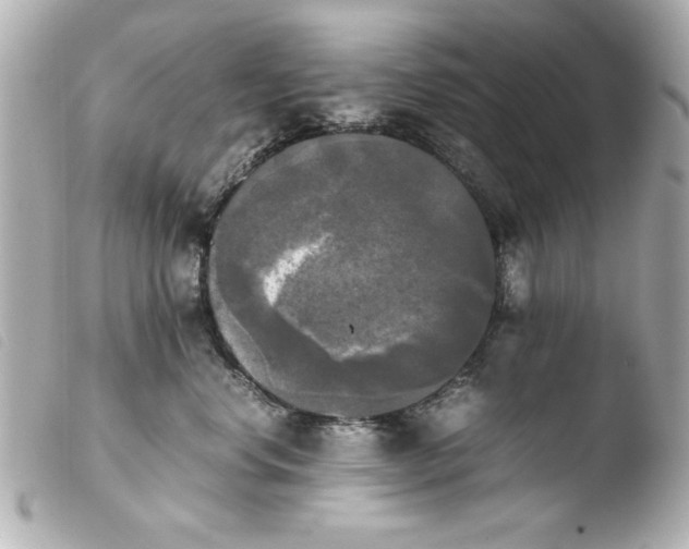 X0000103900668200810031150