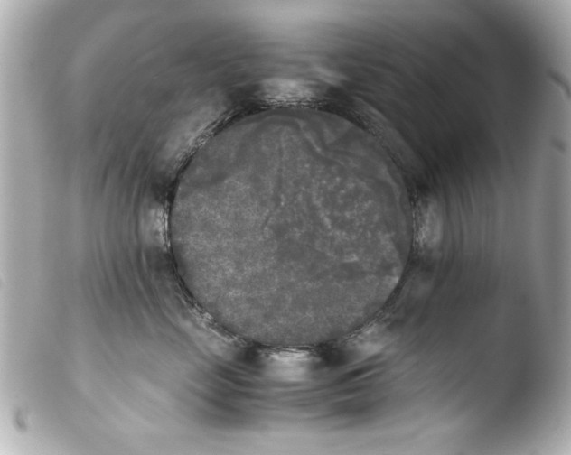 X0000103900669200810031150