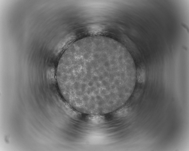 X0000103900670200810031150