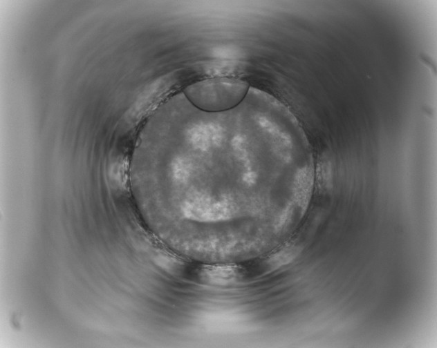 X0000103900671200810031150