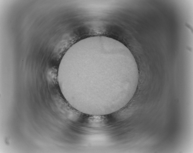 X0000103900672200810031150