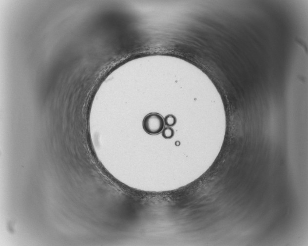 X0000103900673200810031150