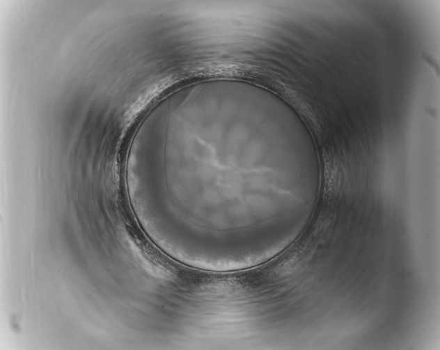 X0000103900674200810031150