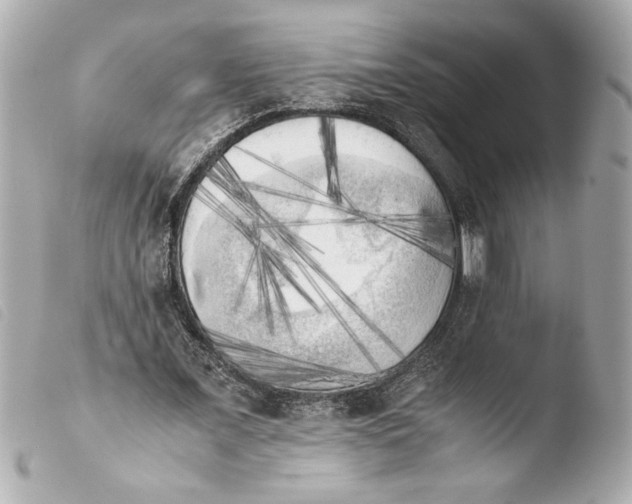 X0000103900675200810031150