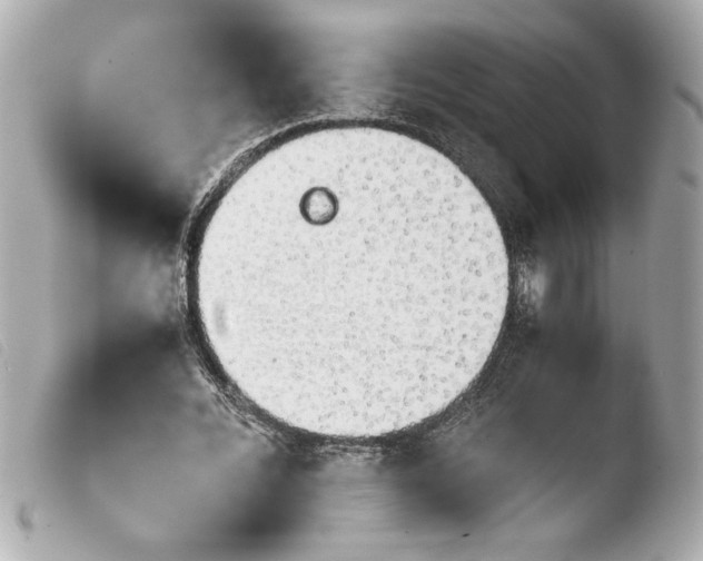 X0000103900676200810031150