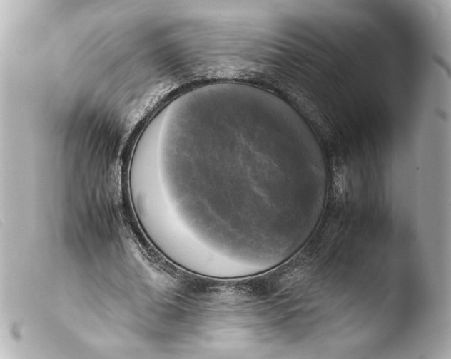 X0000103900678200810031150