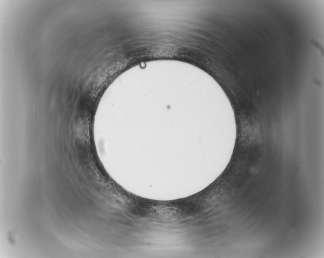 X0000103900681200810031150