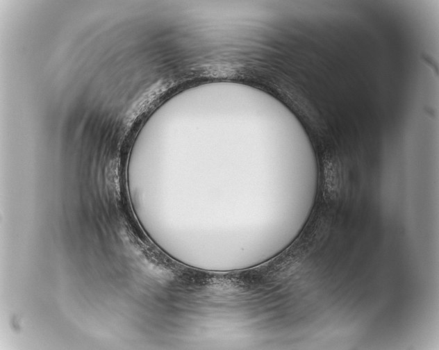 X0000103900682200810031149