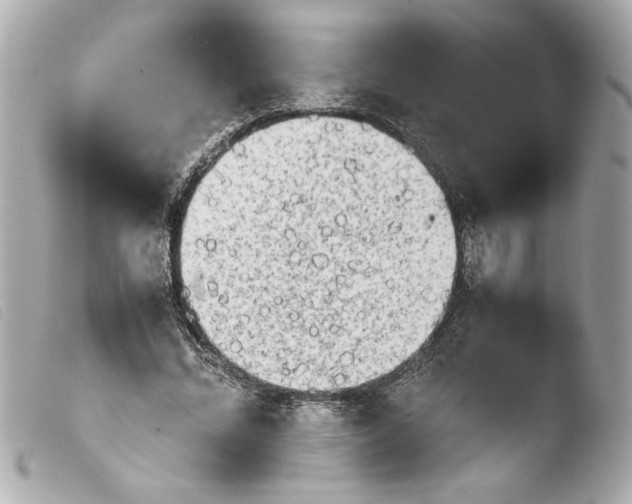 X0000103900684200810031149