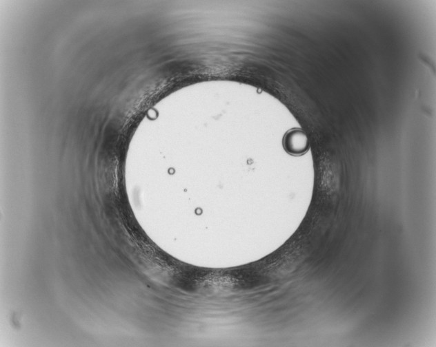 X0000103900685200810031149