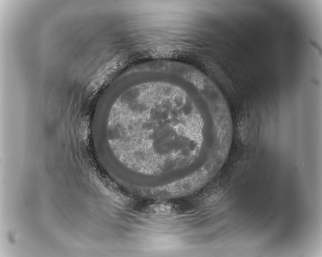 X0000103900687200810031149