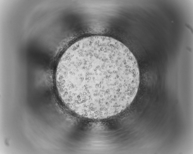 X0000103900688200810031149