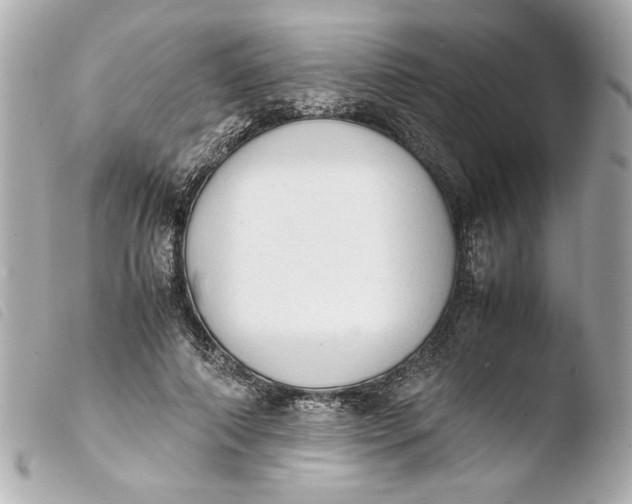 X0000103900690200810031149