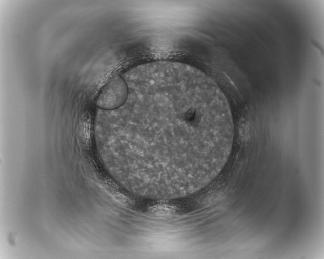 X0000103900691200810031149