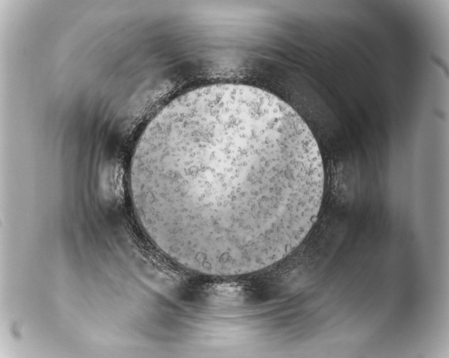 X0000103900692200810031149