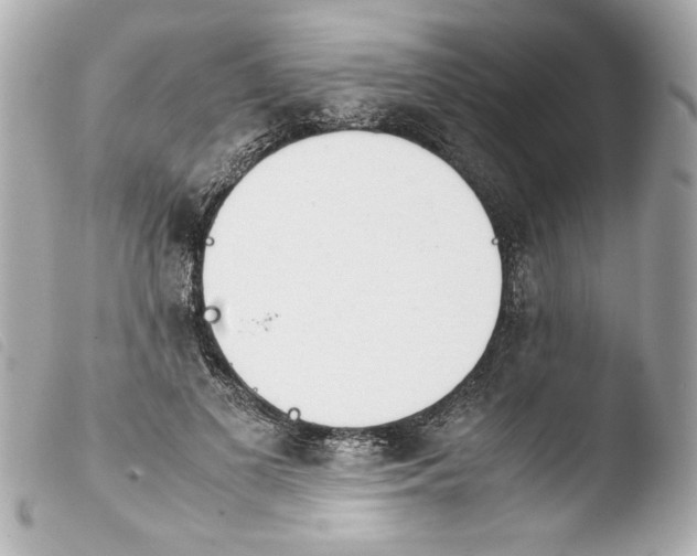 X0000103900693200810031149