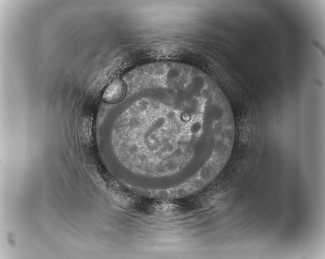 X0000103900695200810031149